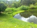 FINCA DE RECREO EN SAN JERONIMO ANTIOQUIA (San Jerónimo, Antioquia)